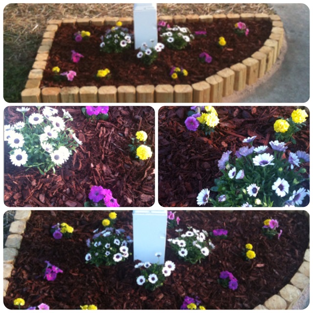 mailboxflowerbeddone