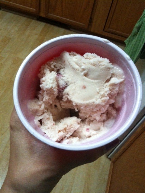Homemade ice cream