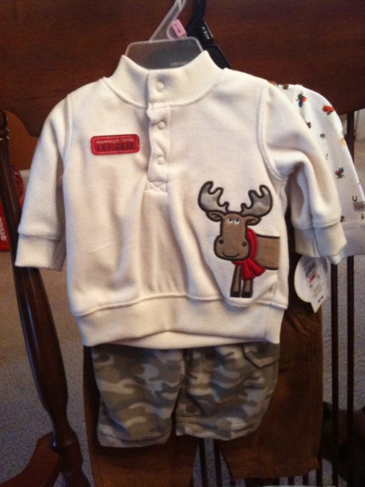 Moose