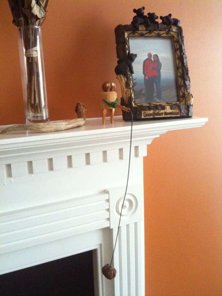 Wood Guy 3