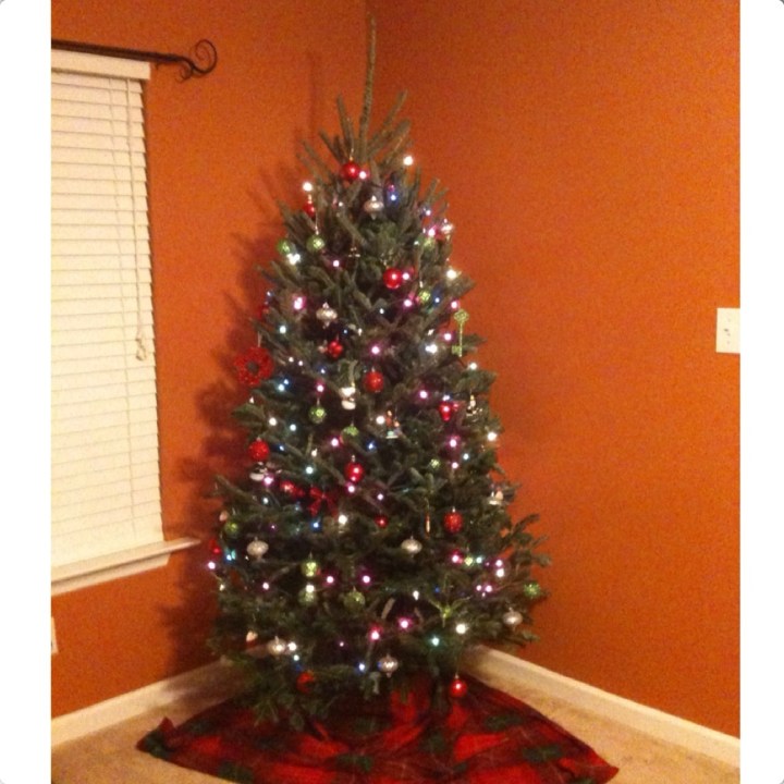 2011 Tree