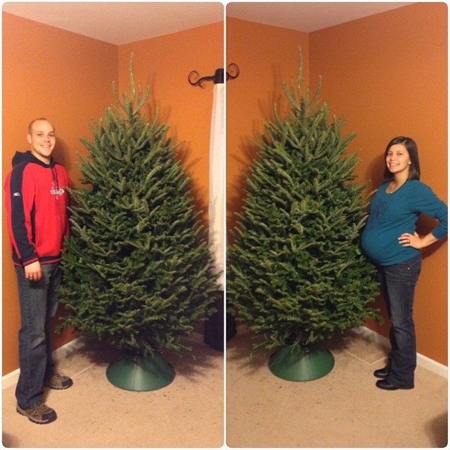 We got our Christmas tree!