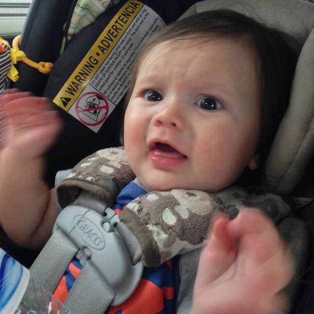 I don't know why but this cracks me up!