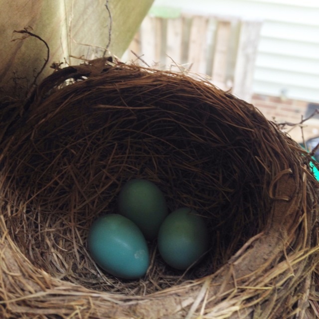 inlieuofweeksend07252014