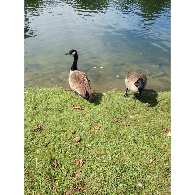 sharingmyweekendpicnicbignews