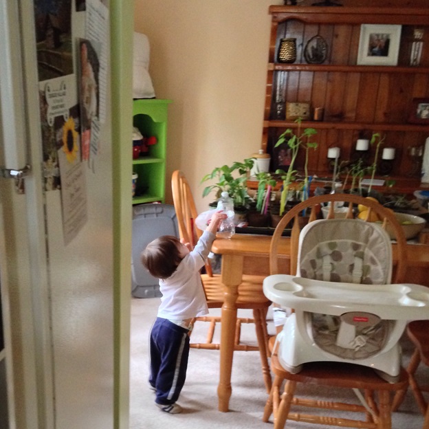 Watering the plants for "Dada".
